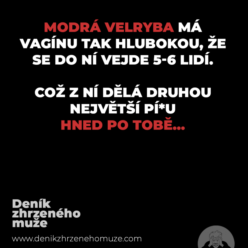 Modrá velryba