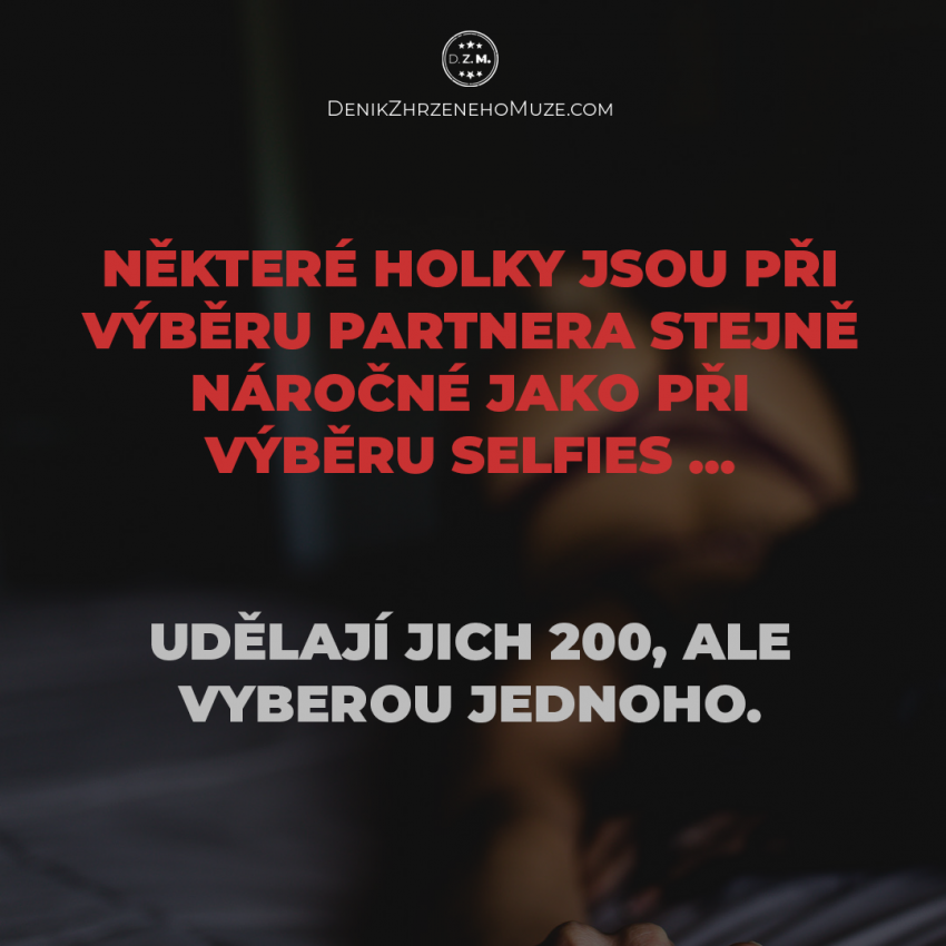 Výběr partnera